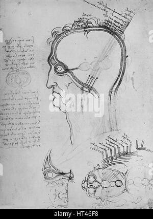 'Sections de la tête d'un homme montrant l'anatomie de l'oeil, etc...', c1480 (1945). Artiste : Leonardo da Vinci. Banque D'Images