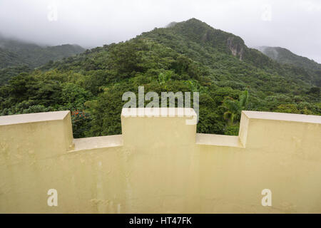 Tour d'OBSERVATION YOKAHU COUVERT PLUIE Forêt nationale de EL YUNQUE RIO GRANDE PUERTO RICO Banque D'Images