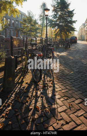 Les vélos garés le long du canal à Utrecht Banque D'Images
