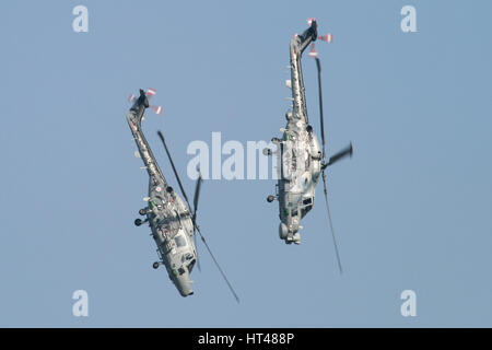 Black Cats Lynx duo de Yeovilton afficher à un spectacle aérien de Duxford. Banque D'Images