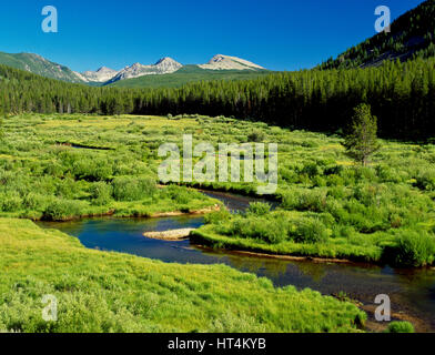 La région de wise rivière qui coule à travers la vallée riveraine au-dessous de la montagne près de Pioneer, montana rivière sage Banque D'Images
