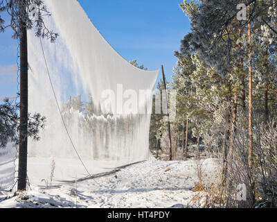 Forêt d'hiver et de golf sur la périphérie de la capitale norvégienne Oslo, givre et rend le filet de sécurité pour l'arrêt d'un paysage féerique de boules Banque D'Images
