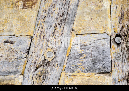 Détail de vieux bois de chêne fendu dans un bâtiment à colombages. Structure en bois de chêne avec remplissage de torchis. Peint avec badigeon jaune Banque D'Images