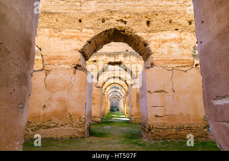 Écuries royales et les greniers de Moulay Ismail, Meknès Banque D'Images