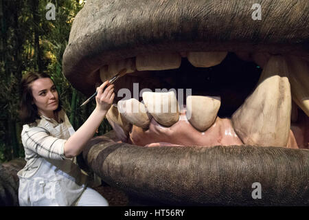 Un membre du personnel fait les derniers ajustements à un multi-sensoriel, chef de l'animatronic Kong qu'il est dévoilé à Madame Tussauds, London. Banque D'Images