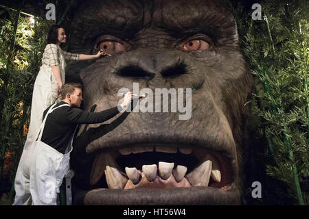 Les membres du personnel de faire les derniers ajustements à un multi-sensoriel, chef de l'animatronic Kong qu'il est dévoilé à Madame Tussauds, London. Banque D'Images