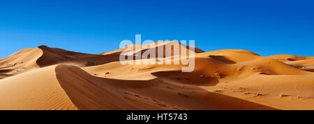Sable parabolique Sahara dunes de l'erg Chebbi, Maroc, Afrique Banque D'Images