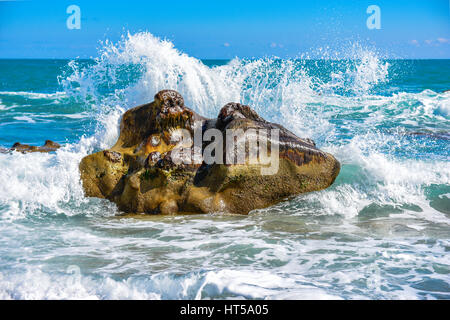 Grande vague s'écraser sur les rochers à la plage. Banque D'Images