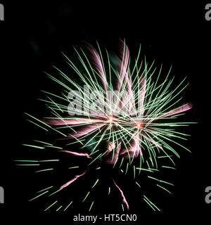 D'artifice vert et rose sur fond noir Banque D'Images