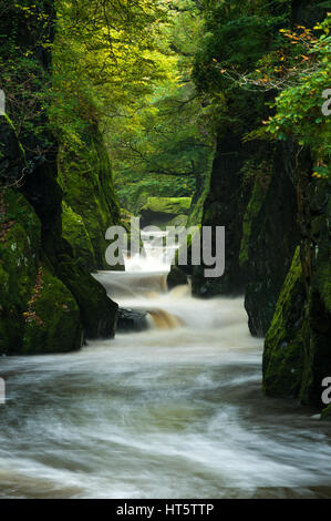 La rivière Conwy traverse un petit canyon appelé Fairy Glen, au Pays de Galles Banque D'Images