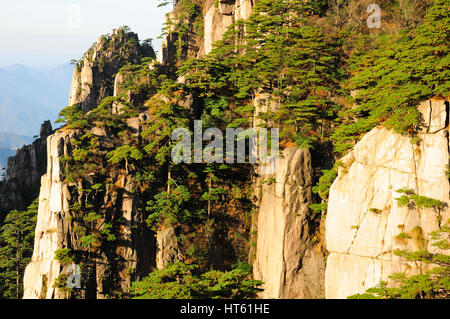 Le paysage spectaculaire dans la lumière du soleil du matin avec le Huangshan ou les montagnes jaunes à l'arrière-plan dans la province de l'Anhui en Chine. Banque D'Images