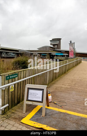 Slimbridge Wetland Centre, Loire, France. Banque D'Images