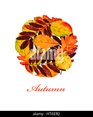 Bannière avec les feuilles colorées dans le style décoratif et le texte 'Autumn'. Modèle de carte de vœux, isolé sur fond blanc. Banque D'Images