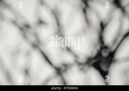 Arrière-plan de la nature bokeh Banque D'Images