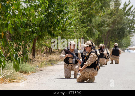 Les femmes kurdes du 2e bataillon, 6e brigade, une unité féminine de tous les peshmergas, Iraq Sulaymaniyah. Banque D'Images