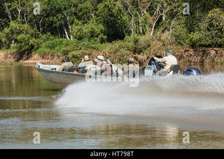 Voile plein de touristes racing off à un nouveau rapport d'une Jaguar, sur la rivière Cuiaba, dans la région du Pantanal de Mato Grosso, Brésil, Amérique du Sud. Voile Banque D'Images