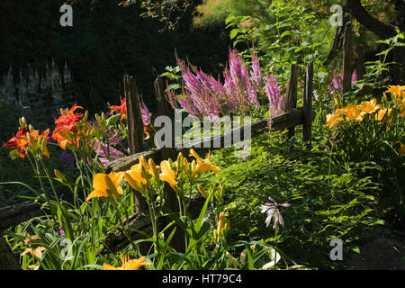 Clôture rustique et parterre de fleurs d'hémérocalles et d'Astilbe au jardin. Banque D'Images