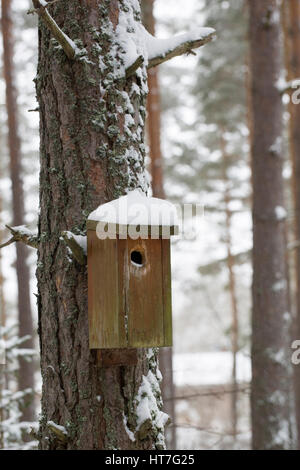 La neige a couvert maison d'oiseau sur un arbre Banque D'Images