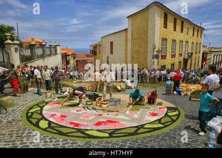 La décoration de la rue avec des tapis de fleurs pendant les célébrations de la Fête-Dieu à La Orotava sur Tenerife Banque D'Images