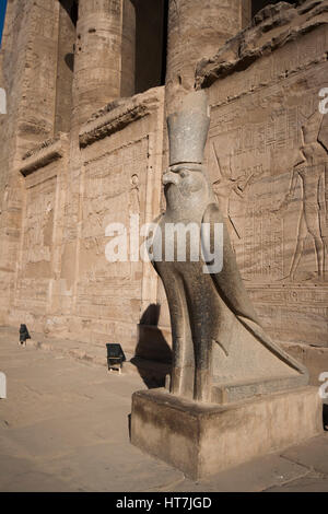 Statue du dieu Horus comme un pèlerin en Temple d'Edfou, Egypte Banque D'Images