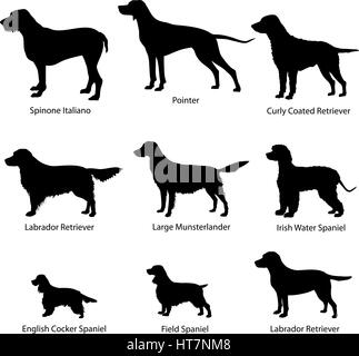 Icon Set chien chiens des armes à feu. vector illustration silhouette. collection de gundog. Illustration de Vecteur