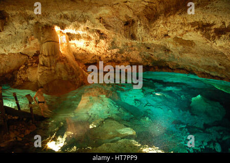 Cenote / Merida, Mexique Banque D'Images