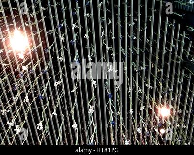 Londres, Royaume-Uni. Mar 8, 2017. L'Iris installation réalisée à partir de dix mille iris frais, par Rebecca Louise Droit, liées avec un fil de cuivre à Galerie, Londres, UK Crédit : Nastia M/Alamy Live News Banque D'Images