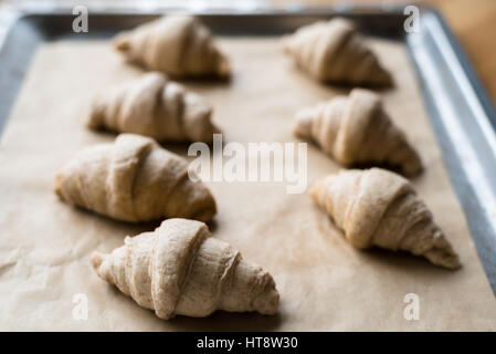 Pas de grains entiers crus boulangerie croissants sur un plat à four avec du papier sulfurisé Banque D'Images