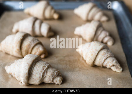 Pas de grains entiers crus boulangerie croissants sur un plat à four avec du papier sulfurisé Banque D'Images