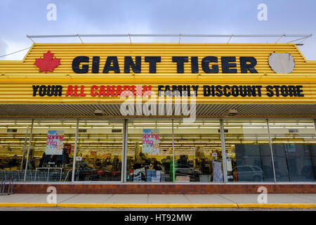 Averses de l'automne sur la façade de la magasin Tigre Géant, une chaîne de magasins de détail au Canada, à St Thomas, Ontario, montrant le nom du magasin et de promotion s Banque D'Images