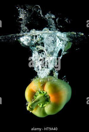 L'eau de l'eau Splash droping poivron dans fond noir avec éclairage studio. Banque D'Images