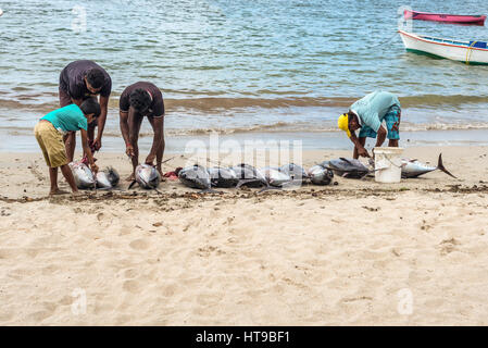 Tamarin, Ile Maurice - le 10 décembre 2015 : le nettoyage des pêcheurs de thon fraîchement grand sur la plage de la baie de Tamarin à l'Ile Maurice. Banque D'Images
