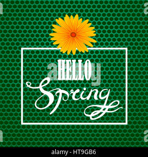 Bonjour Printemps Design Lettrage.Green bannière avec un fond de grille carbone texturé et texte cadre. Banque D'Images