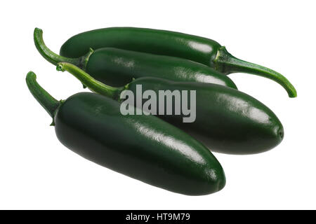 Green chaud non mûres de piments Serrano (Capsicum annuum). Clipping path Banque D'Images