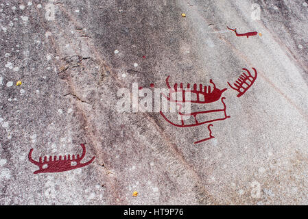 Célèbre rockcarvings sur pierres plates, broyé par les glaces, dans TanumSweden Banque D'Images