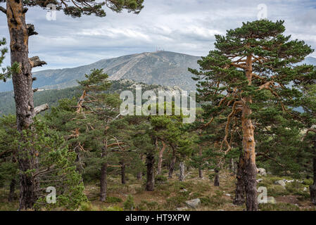 Vues de Navacerrada Ski de Siete Picos (Sept sommets), dans le parc national des montagnes de Guadarrama, provinces de Ségovie et de Madrid, Espagne Banque D'Images