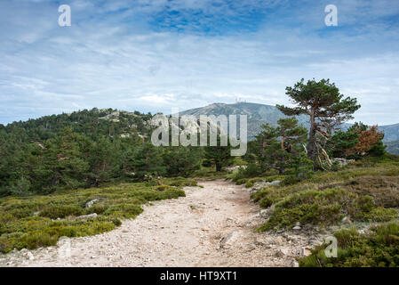 Vues de Navacerrada Ski de Siete Picos (Sept sommets), dans le parc national des montagnes de Guadarrama, provinces de Ségovie et de Madrid, Espagne Banque D'Images