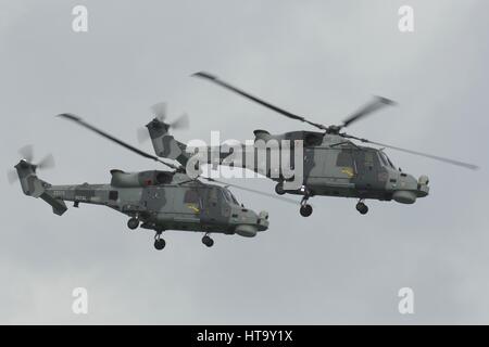 Une paire de Royal Navy Lynx Westland Helicopters Banque D'Images