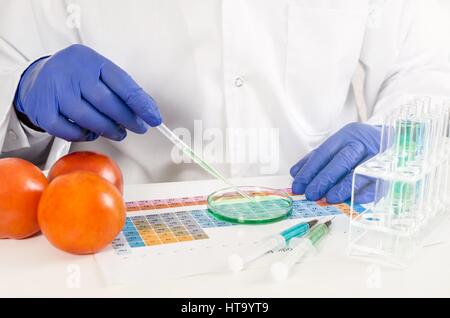 Technicien travaillant à la pipette, les OGM en laboratoire. La composition des légumes génétiquement modifiés. Banque D'Images