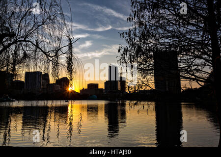Vue sur l'horizon sur le lac Eola et palmiers au coucher du soleil à Orlando, Floride. Lake Eola Park est situé au cœur du centre-ville d'Orlando et d'accueil à l'Amphithéâtre de Walt Disney. Banque D'Images