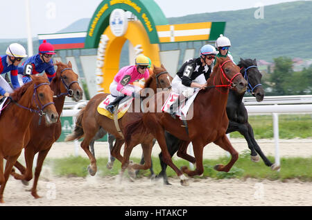 Piatigorsk, Russie - le 19 juin : jockeys non identifiés et leurs chevaux en compétition pour la course pour le prix du jour de travailleurs médicaux le 19 juin, 2011 Banque D'Images