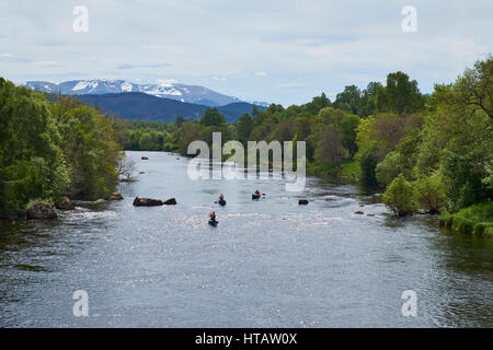 Open top canoës sur la rivière Spey dans les Highlands écossais. Banque D'Images