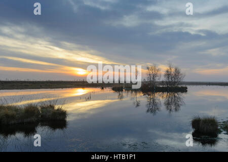 Daybreak in the Moor / Lever du soleil, l'aube, dans la lande, Tagesanbruch am Moor / Sonnenaufgang, Tagesanbruch im Moor Banque D'Images