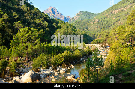 Des montagnes de Bavella, Corse, France Banque D'Images