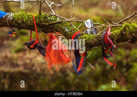 Plusieurs rubans de couleur liée à une branche d'arbre pour chance Banque D'Images