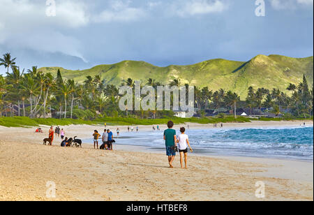 Kailua, Hawaii, USA - 30 juillet 2016 : des personnes non identifiées, recueillir et marcher le long de la plage de sable rives de Kailua Bay Banque D'Images