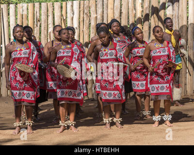 Les femmes en costume traditionnel lors d'un spectacle de danse, Swazi cultural village, Lobamba, Manzini, Swaziland Banque D'Images