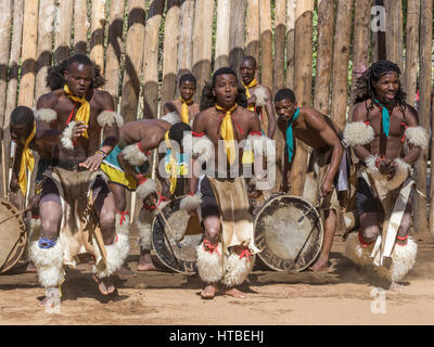 Les hommes en costume traditionnel lors d'un spectacle de danse, Swazi cultural village, Lobamba, Manzini, Swaziland Banque D'Images