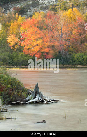 Couleurs d'Automne, lac Frood frangeant nr Whitefish Falls, District de Sudbury, Ontario, Canada Banque D'Images