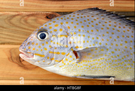 Poisson frais de gâterins peint de marché sur le bois dans la lumière du soleil Banque D'Images